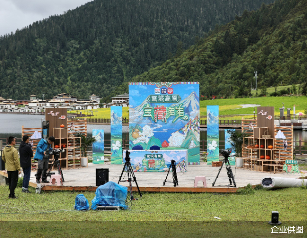 ▲“雪域高原，宝‘藏’多多”直播间现场。林生