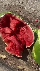 robin 购买的西瓜。图源：tiktok