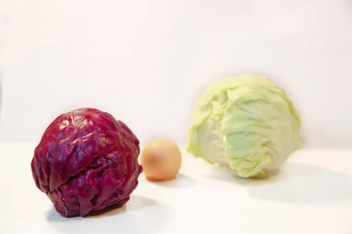 图库版权图片，转载使用可能引发版权纠纷