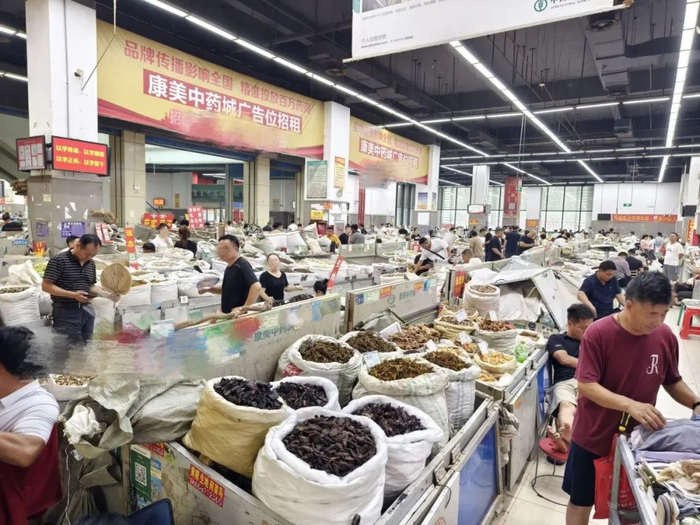 亳州中药材专业市场（康美中药城）全国规模较大的中药材交易中心。图片为交易大厅的早市交易实景。陈雨康/摄