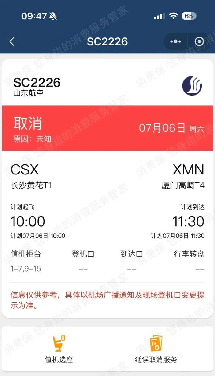 （高女士提供）