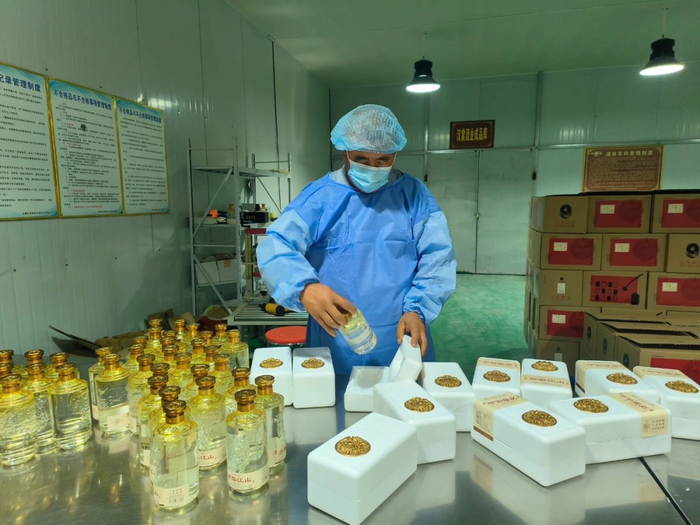 图为安徽汉棠酥梨酒业工作人员正在包装果酒。受访者供图