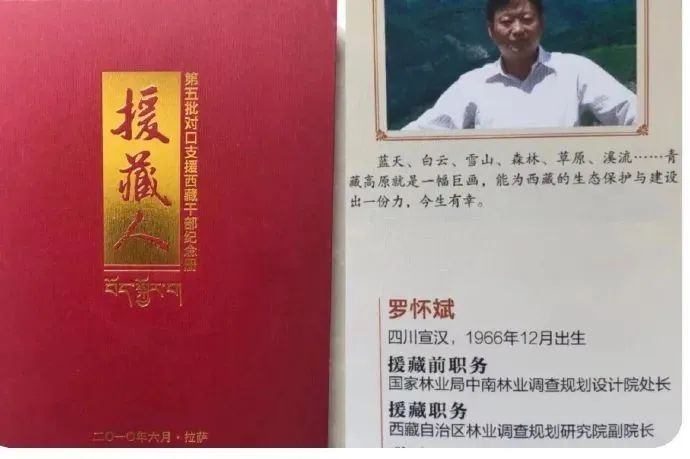 图源：@罗怀斌妻子