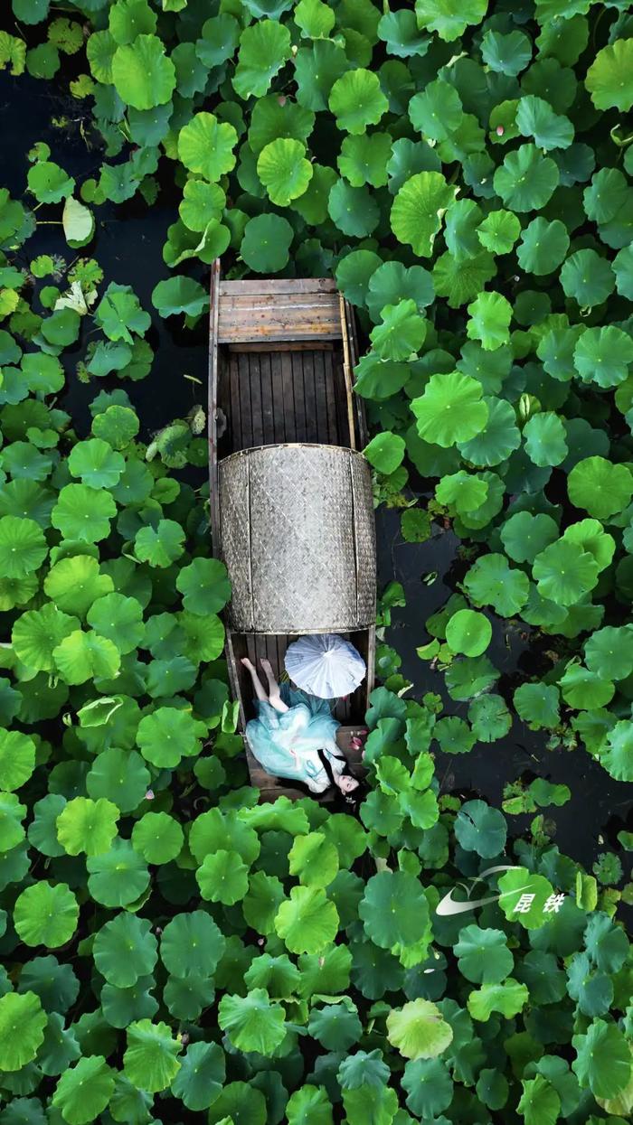 建水"荷"你相约