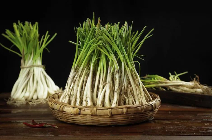 图库版权图片，转载使用可能引发版权纠纷