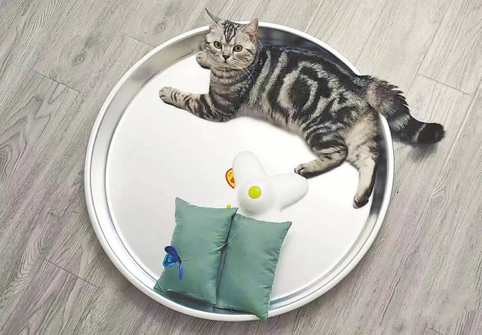 网友用不锈钢盆自制的降温猫窝