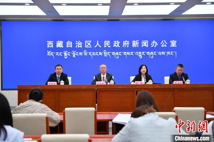 西藏2024年上半年金融运行情况良好|西藏|拉萨市|跨境人民币业务_新浪