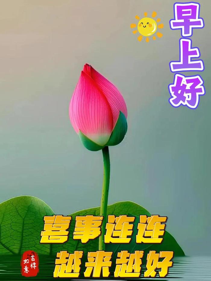 八月节早上好图片图片