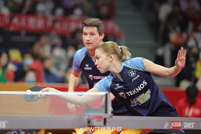 图片来自@WTT世界乒联