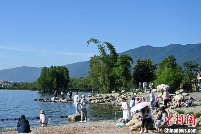 8月1日，游客在洱海边游览。正值暑假，云南省大理白族自治州大理市迎来旅游旺季。中新社记者 李嘉娴 摄