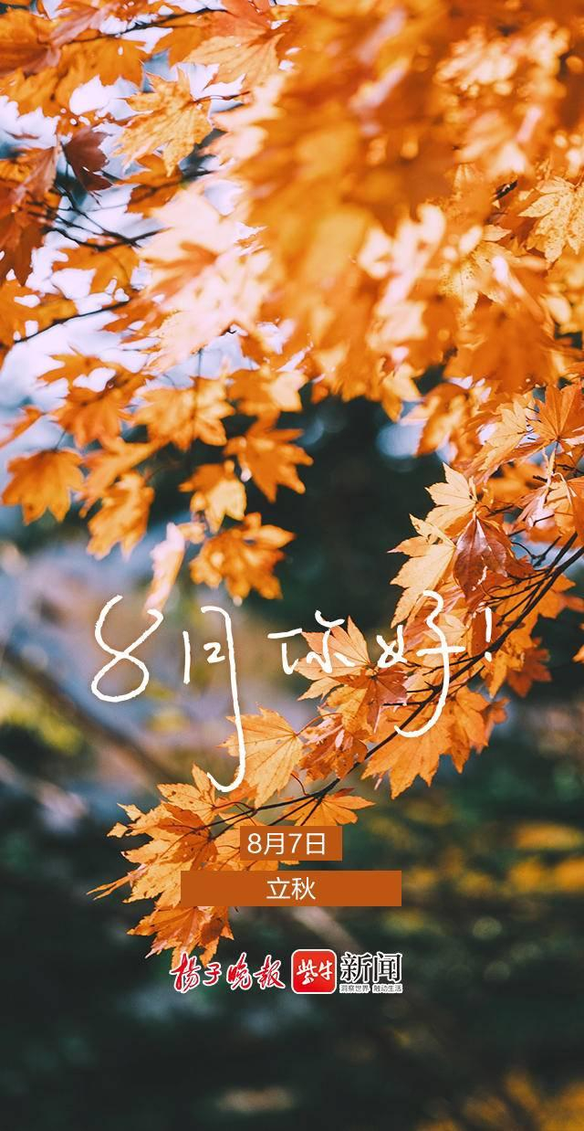 日历海报 | 8月,你好!