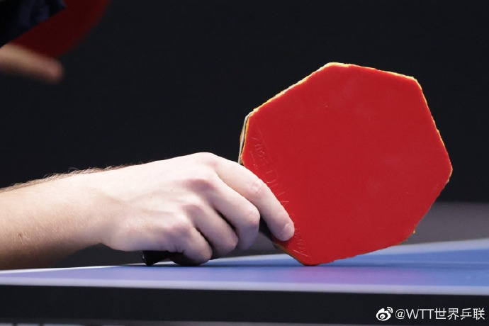 图片来自@WTT世界乒联