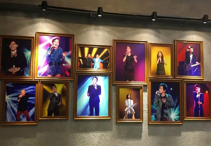 《我是歌手第一季》参演歌手