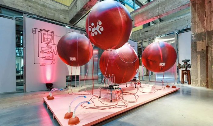 荷兰埃因霍芬理工大学的人造子宫模型，图片来源：TUEindhoven Cursor