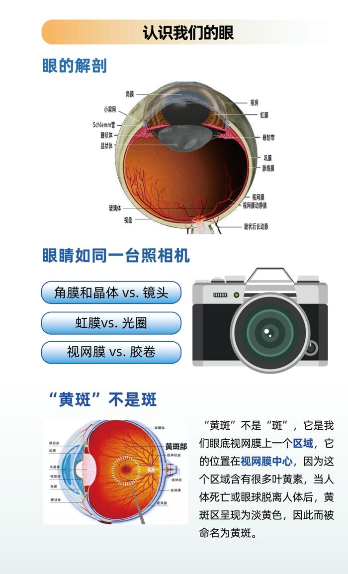 老年黄斑变性如何预防?医生:这四点要记住