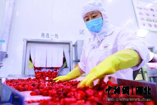 图为在河北省大厂回族自治县高新区一企业，工作人员在生产果酱。 黄雪 摄