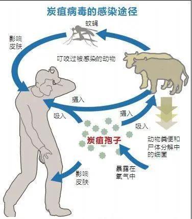 新冠肺炎隔离图片图片