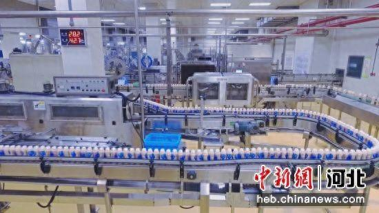 图为在河北省大厂回族自治县高新区一企业，工作人员在生产饮品。 黄雪 摄