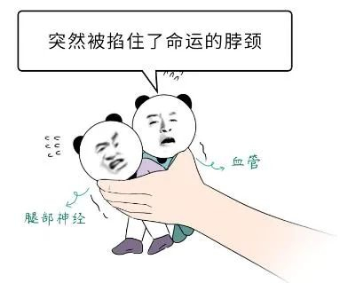 上厕所蹲久了为啥腿会麻?怎样才能快速恢复?