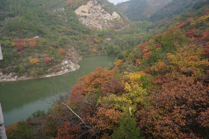 出了村子,驱车上了虎头山.