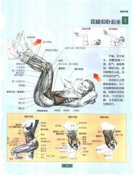 如有关于作品内容,版权或其它问题请于作品发表后的30日内与新浪网