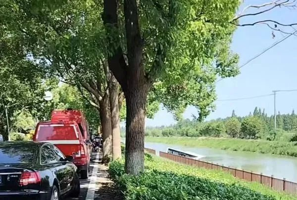 网友供图