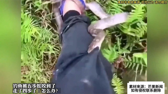 钓鱼被五步蛇咬到了,怎么办?