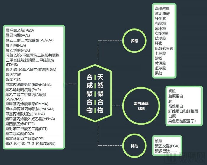 天然聚合物与合成聚合物的分类情况 动脉网制图