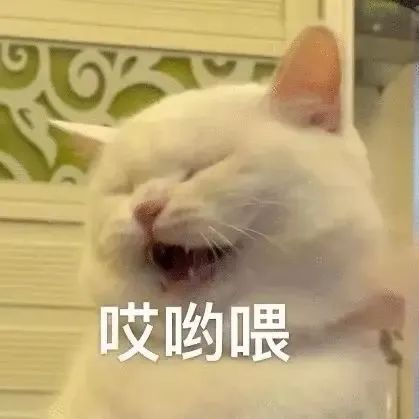 爆笑沙雕表情,乐翻天必备 拿图请顺便吱一声 很难有动力发图了|表情包