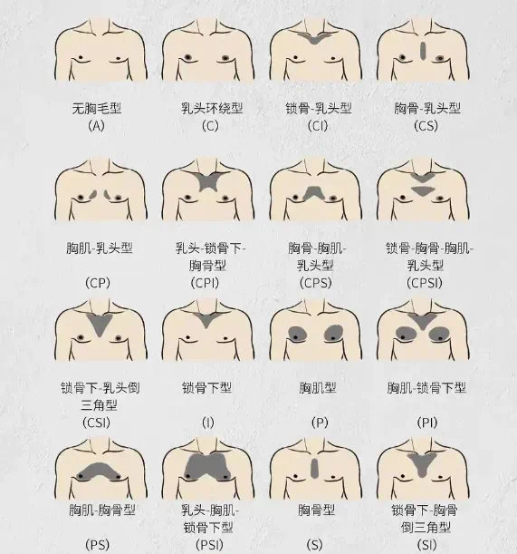 胸毛都长什么样?