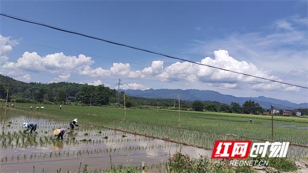 东安县芦洪市镇芦江村图片