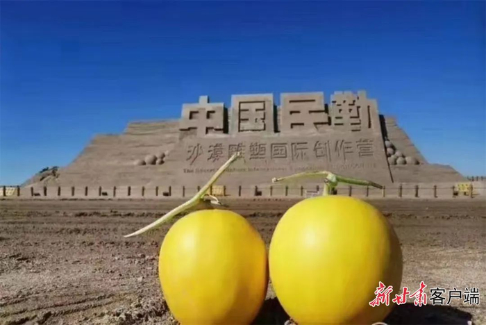 甜美可口的蜜瓜赢得了消费者的一致好评。