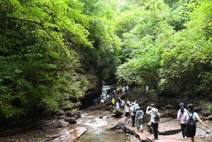 六盘山国家森林公园迎来"避暑游"高峰