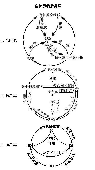 生物地理 高考中的生物循环与碳循环