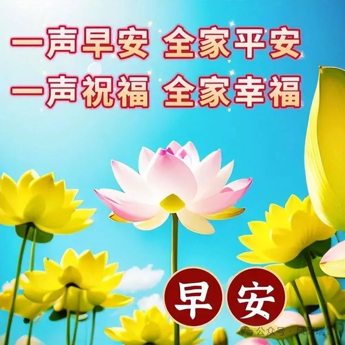 早上好,朋友.我的祝福和晨曦一同来到你身边,祝你在新的一天里安康好