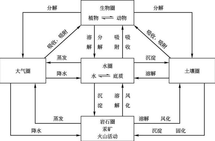 生态循环图解图片