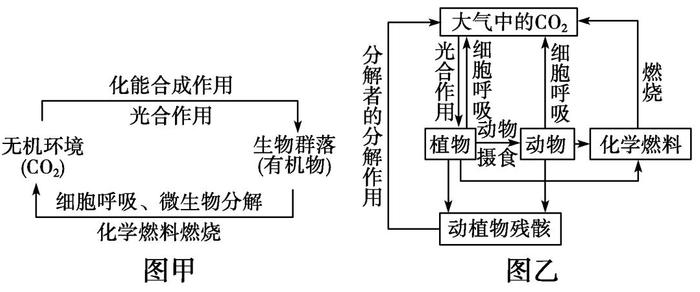 生物地理 高考中的生物循环与碳循环