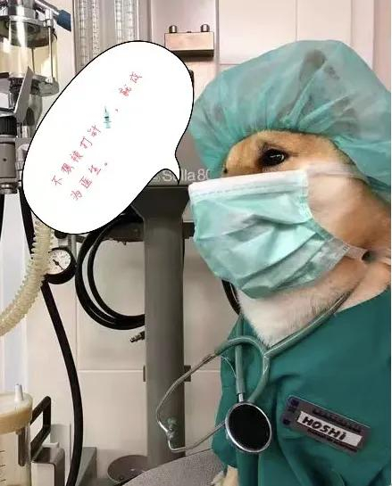 瞅瞅它们打针都有哪些搞笑的表情?