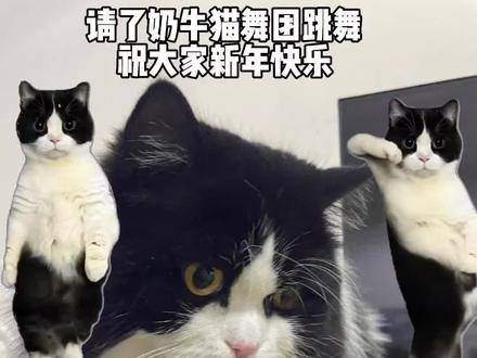 (欲览跳舞表情包,敬请移步评论区)