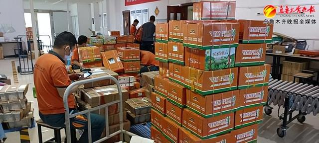 　　7月4日，中国邮政集团有限公司乌鲁木齐市分公司快递员正在整理打包好的生鲜邮件。资料图片