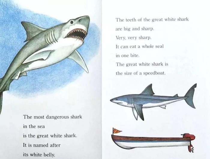 兰登step into reading分级阅读系列 3 hungry ,hungry sharks