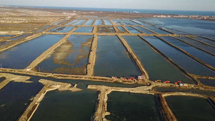一位爱鸟人士眼中的七里海之变|七里海|鸟|七里海潟湖_新浪新闻