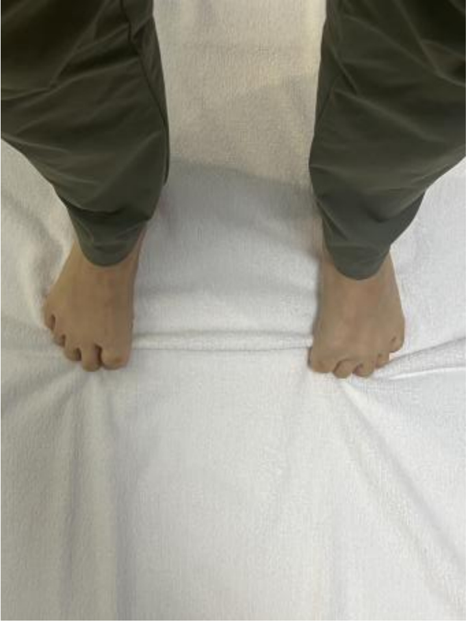 动作示意图。作者提供