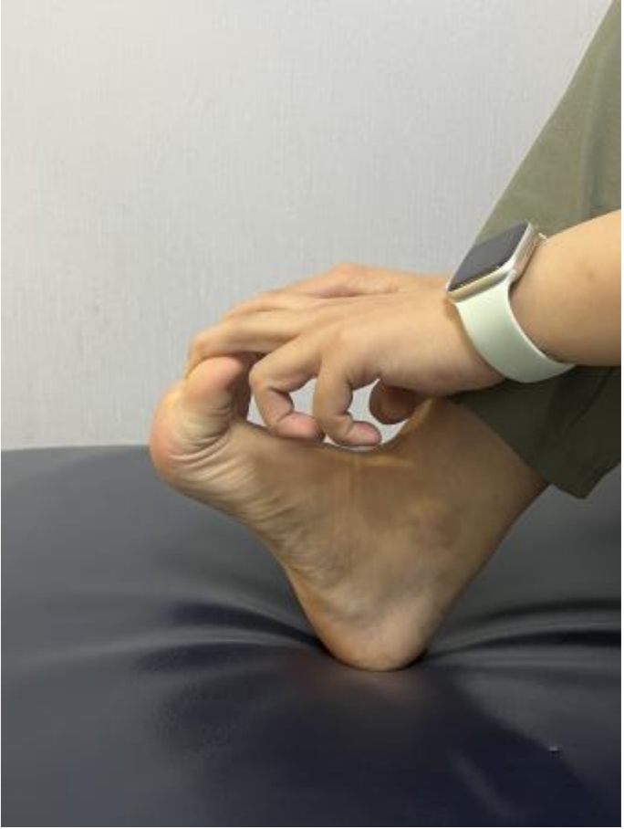 动作示意图。作者提供