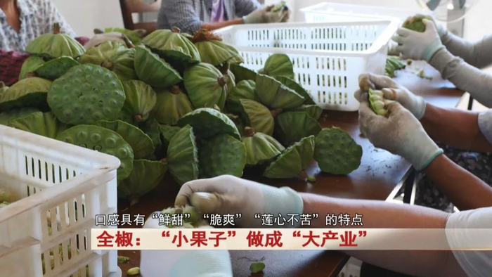 这个"小果子"做成"大产业"!
