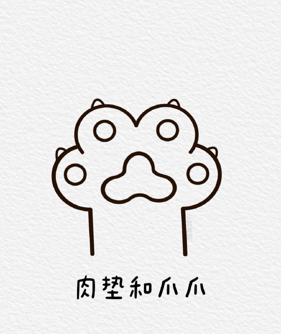 数字3简笔画小猫爪,画给可爱的人～ .