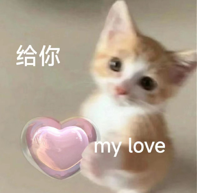 表情包又更新了