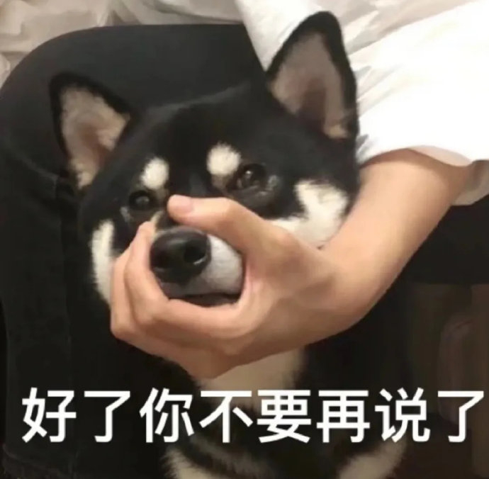 表情包又更新了|拿图互动 美女,七夕有空吗 七夕一个人过怎么了 好了