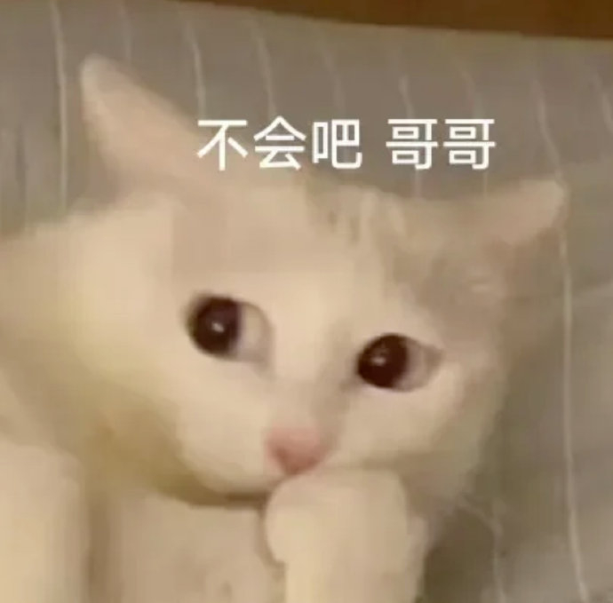 表情包又更新了