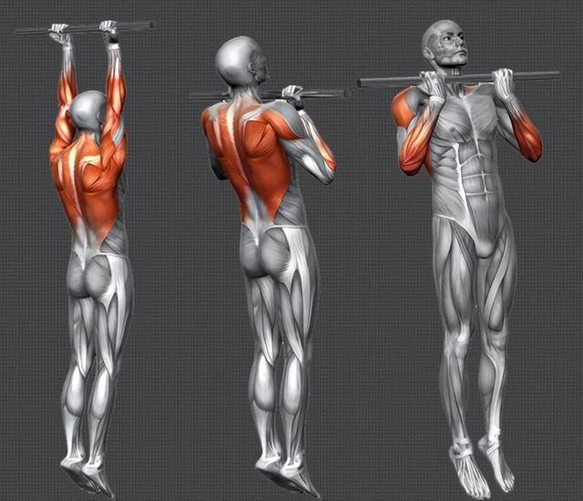女生本身的骨骼肌不如男生发达,肌肉力量比较薄弱,引体向上难度就显得